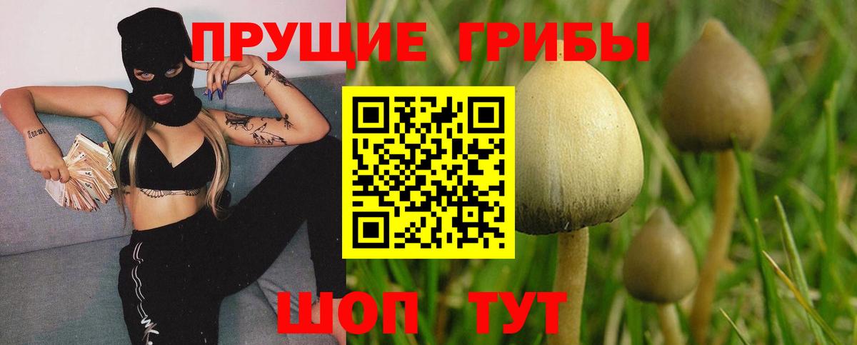 Галлюциногенные грибы GOLDEN TEACHER  Галлюциногенные грибы мухоморы  Краснокаменск  Вход с VPN 